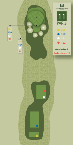 Hole1Image